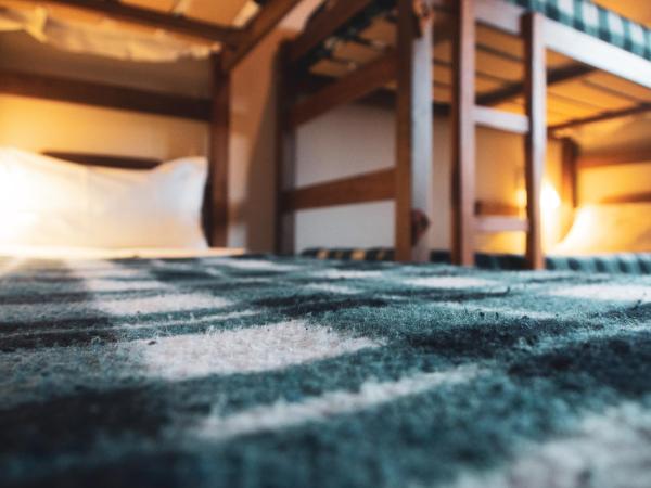 America Del Sur Calafate Hostel : photo 9 de la chambre lit simple dans dortoir avec salle de bains privative