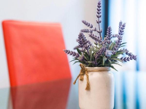 Migliore Homestay : photo 10 de la chambre appartement 3 chambres