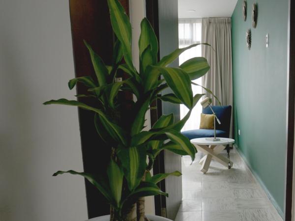 The Dear : photo 1 de la chambre chambre lit queen-size avec salle de bains commune