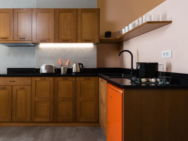 Downtown Athens Lofts - The Acropolis Observatory : photo 7 de la chambre loft gaia