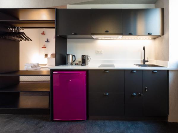 Downtown Athens Lofts - The Acropolis Observatory : photo 7 de la chambre loft art