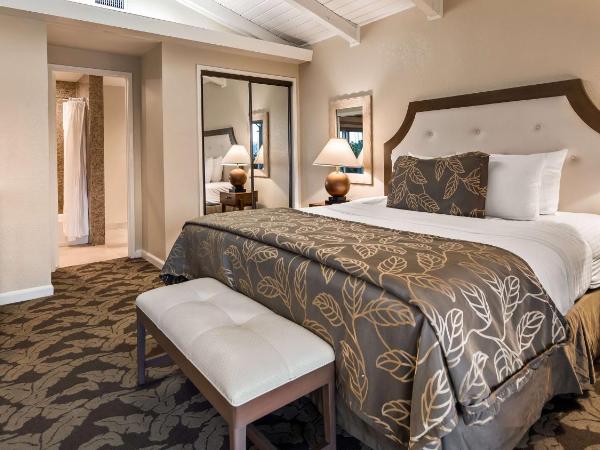Best Western PLUS Island Palms Hotel & Marina : photo 1 de la chambre chambre lit king-size standard