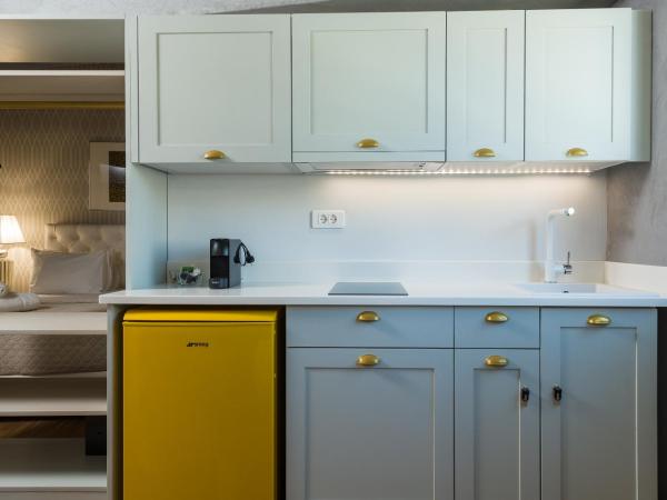 Downtown Athens Lofts - The Acropolis Observatory : photo 8 de la chambre loft neo