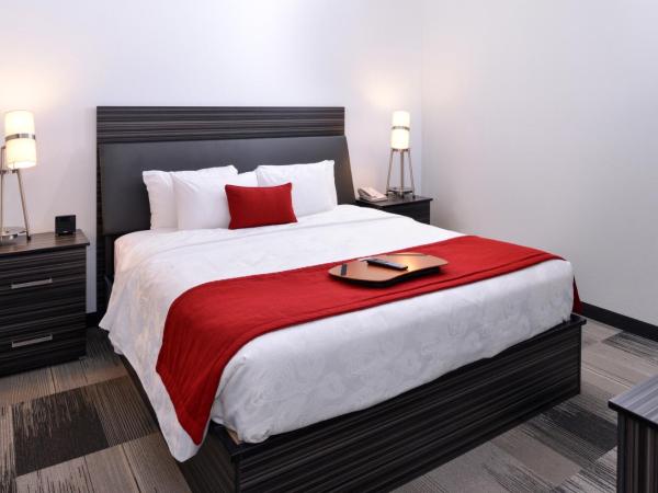 Best Western Plus Airport Inn & Suites : photo 5 de la chambre suite 1 chambre lit king-size avec canapé-lit