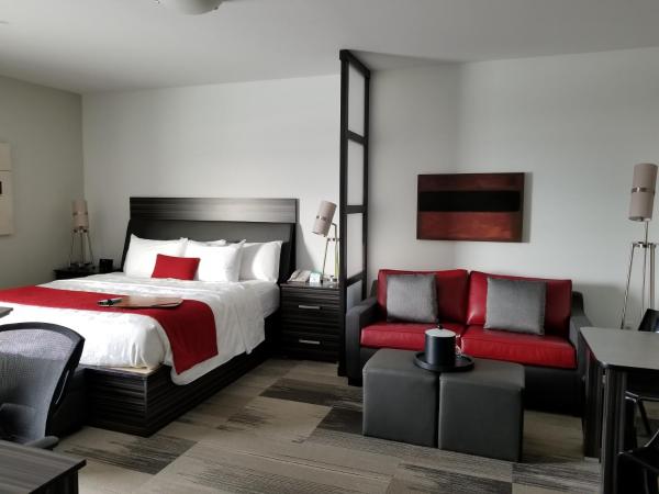 Best Western Plus Airport Inn & Suites : photo 5 de la chambre chambre lit king-size avec canapé-lit et cuisine