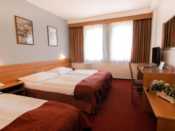 Hotel Globus : photo 2 de la chambre chambre triple