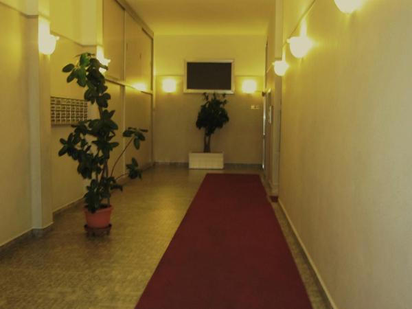 Star Hostel : photo 1 de la chambre lit dans dortoir mixte de 8 lits