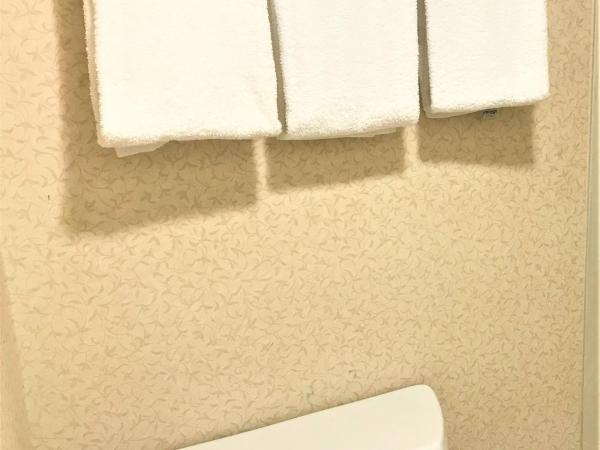 Quality Inn Fort Jackson : photo 2 de la chambre chambre double avec 2 lits doubles - fumeurs