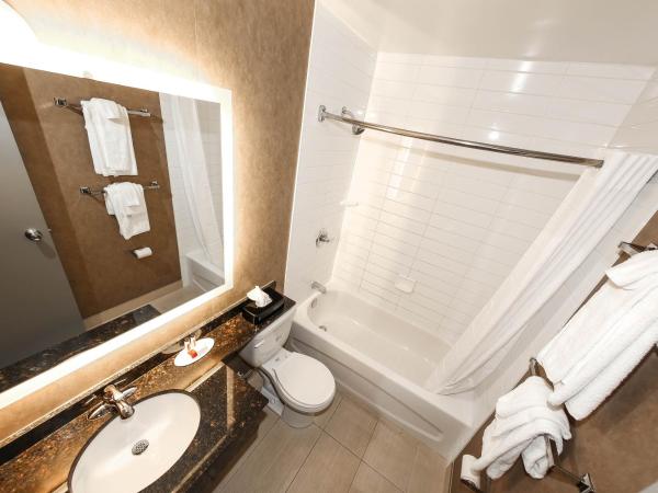 Howard Johnson by Wyndham Winnipeg West : photo 8 de la chambre chambre avec 2 lits queen-size - rez-de-chaussée - non-fumeurs/entrée privée extérieure