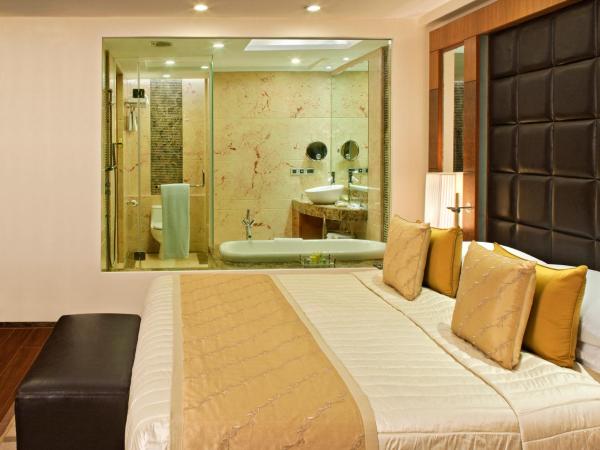 Radisson Blu Plaza Delhi Airport : photo 8 de la chambre business class with happy hours 03:00 pm to 08:00 pm 1+1 & airport transfers and free pick up and drop to worldmark aerocity (subject to car availability)