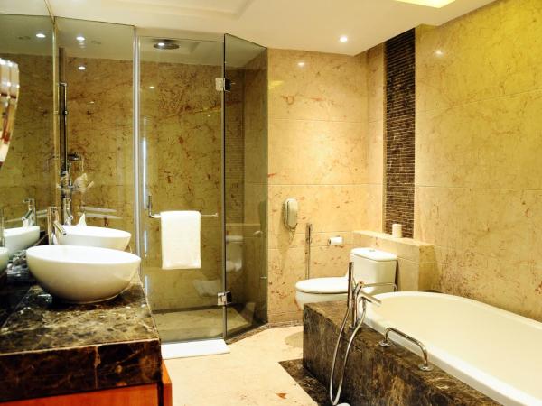 Radisson Blu Plaza Delhi Airport : photo 9 de la chambre deluxe suite with airport transfers, happy hours 03:00 pm to 06:00 pm -1+1, 20% discount on food & beverage and free pick up and drop to worldmark aerocity (subject to car availability)