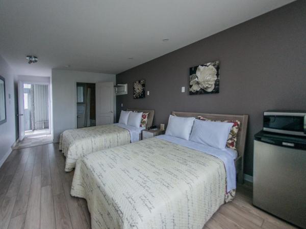 Auberge St. Jacques : photo 8 de la chambre chambre double avec 2 lits doubles