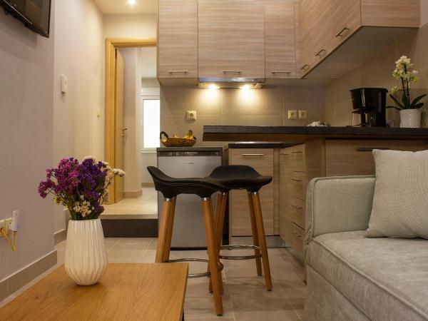 12 Keys Athens Apartments : photo 5 de la chambre appartement - rez-de-chaussée