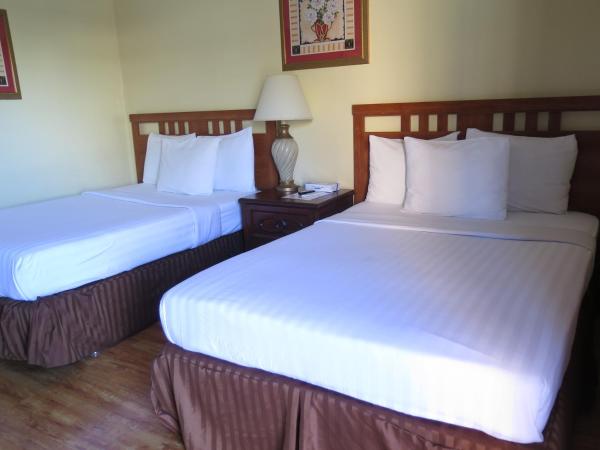 DTLA Hotel : photo 2 de la chambre chambre double avec 2 lits doubles