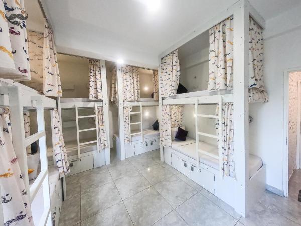 Moustache Hostel, Jaipur : photo 1 de la chambre 8 bed cooler mixed dorm with shared bathroom.