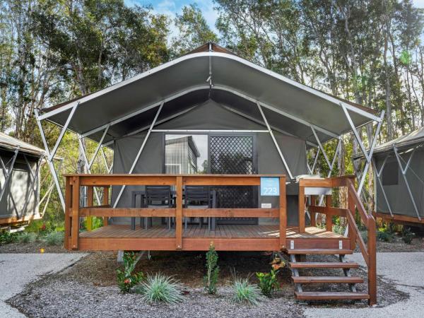 Discovery Parks - Byron Bay : photo 1 de la chambre tente safari deluxe - 4 personnes