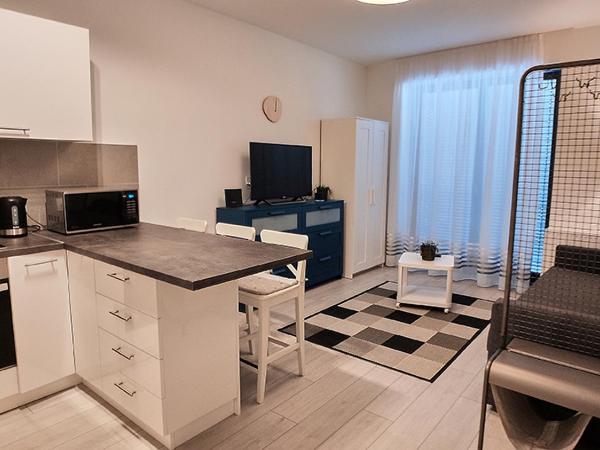Piacsek Apartmanház : photo 1 de la chambre studio
