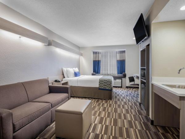 Microtel Inn & Suites by Wyndham Atlanta Buckhead Area : photo 1 de la chambre chambre lit queen-size - suite accessible aux personnes à mobilité réduite - non-fumeurs