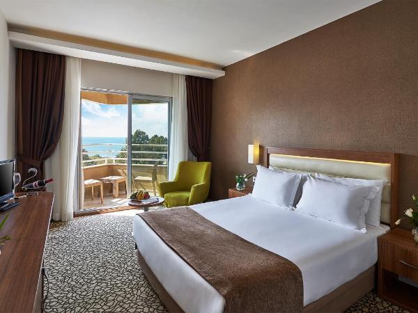 Richmond Ephesus Resort - All Inclusive : photo 1 de la chambre chambre supérieure - vue sur mer
