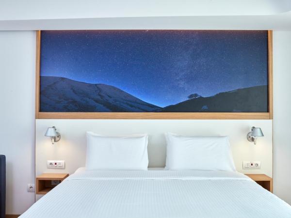 Olive Green Hotel : photo 4 de la chambre chambre Élite club olive green