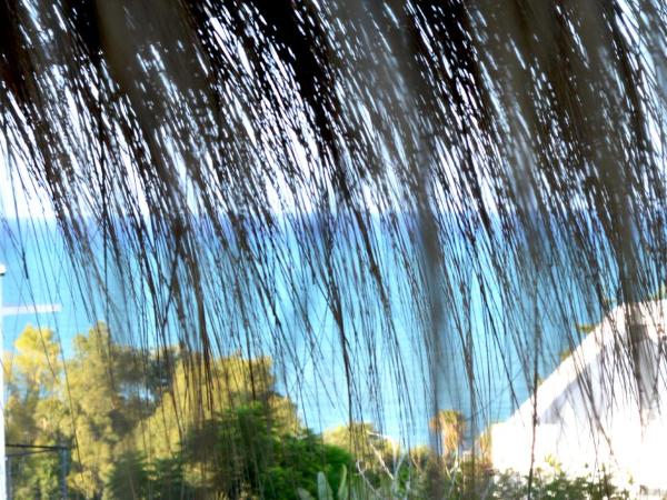 VILLA EDO : photo 5 de la chambre suite - vue sur mer