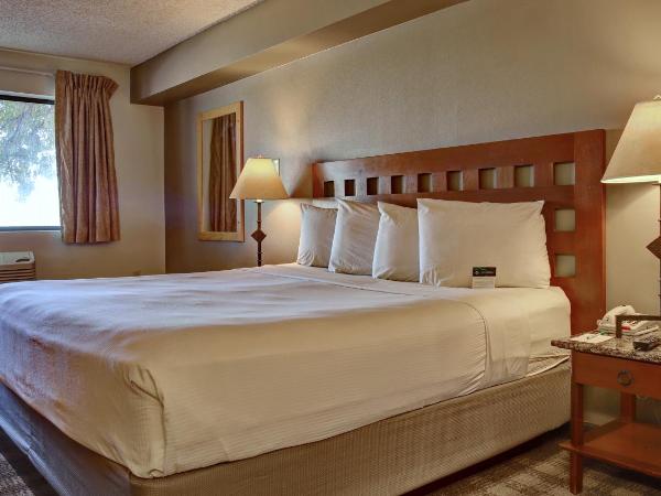 GreenTree Inn Albuquerque North I-25 : photo 1 de la chambre chambre lit king-size