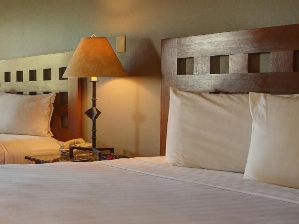 GreenTree Inn Albuquerque North I-25 : photo 5 de la chambre chambre lit queen-size 