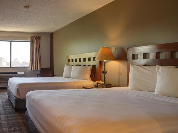 GreenTree Inn Albuquerque North I-25 : photo 1 de la chambre chambre lit queen-size 