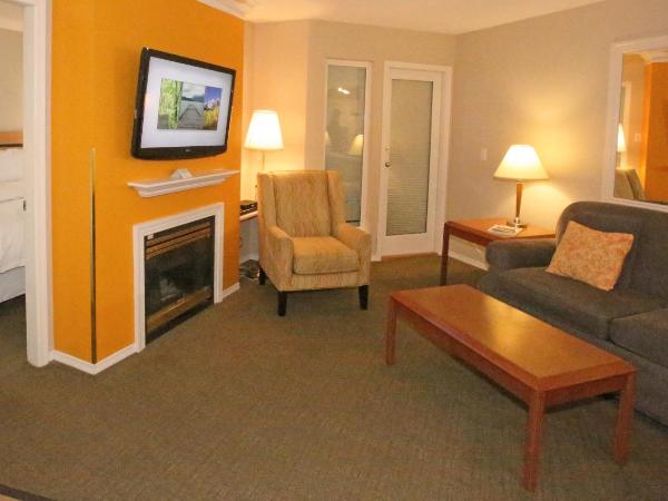 Times Square Suites Hotel : photo 2 de la chambre one-bedroom suite with den

