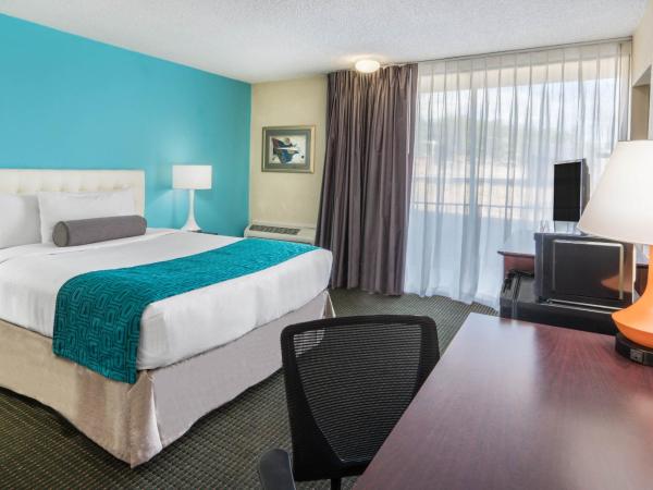 Hotel 505 : photo 5 de la chambre chambre lit queen-size - non-fumeurs