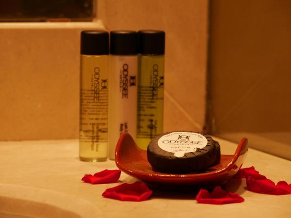 Odyssee Park Hotel : photo 7 de la chambre chambre standard