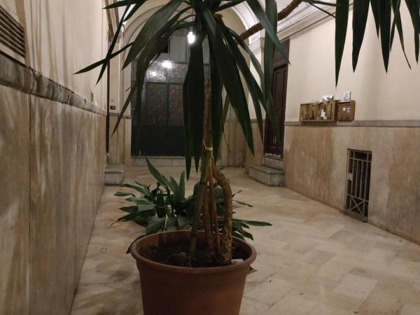 Sun&TheCity : photo 10 de la chambre studio avec balcon