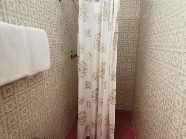 Hotel Monarca : photo 3 de la chambre chambre supérieure 2 lits