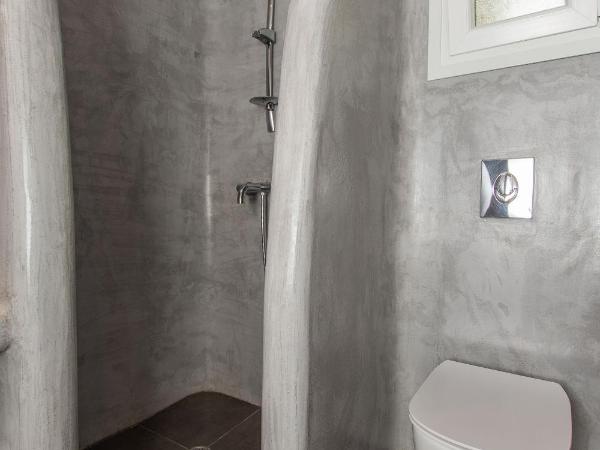 Mykonos Vouniotis Rooms : photo 4 de la chambre chambre double - vue sur jardin