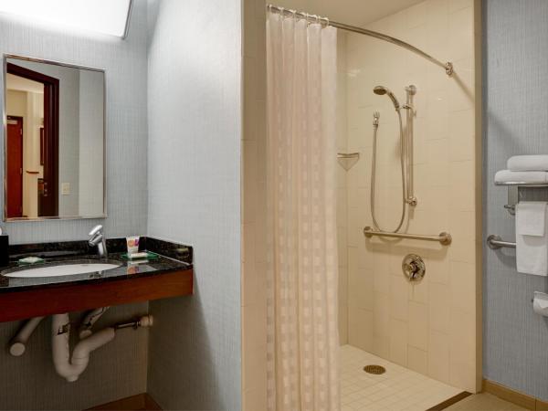 Hyatt Place Indianapolis Airport : photo 7 de la chambre chambre lit king-size avec canapé-lit et douche accessible en fauteuil roulant - accessible aux personnes à mobilité réduite