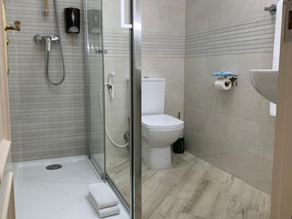 Hostal San Fernando : photo 4 de la chambre chambre triple avec salle de bains privative