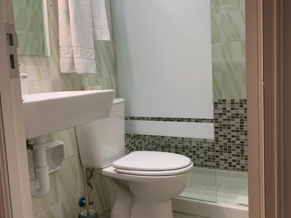 Hostal San Fernando : photo 3 de la chambre chambre simple avec salle de bains privative