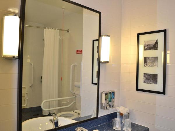 Holiday Inn Express Birmingham Star City, an IHG Hotel : photo 3 de la chambre chambre double – adaptée aux personnes à mobilité réduite - douche accessible en fauteuil roulant 