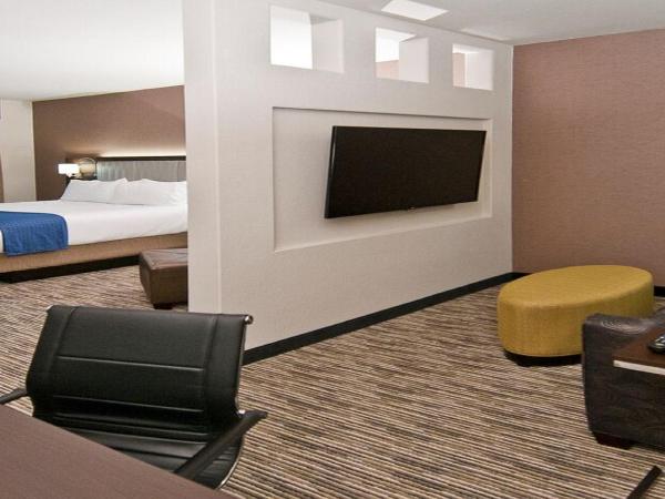 Holiday Inn Austin Airport, an IHG Hotel : photo 2 de la chambre suite lit king-size avec canapé-lit