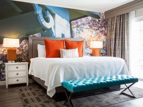 Hotel Indigo Atlanta Vinings, an IHG Hotel : photo 8 de la chambre suite lit king-size – non-fumeurs