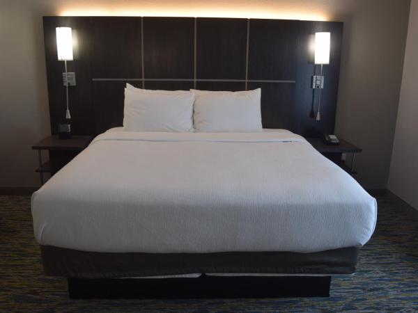 Candlewood Suites - Nashville Metro Center, an IHG Hotel : photo 9 de la chambre suite studio lit king-size