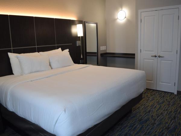 Candlewood Suites - Nashville Metro Center, an IHG Hotel : photo 1 de la chambre suite 1 chambre avec lit king-size - non-fumeurs