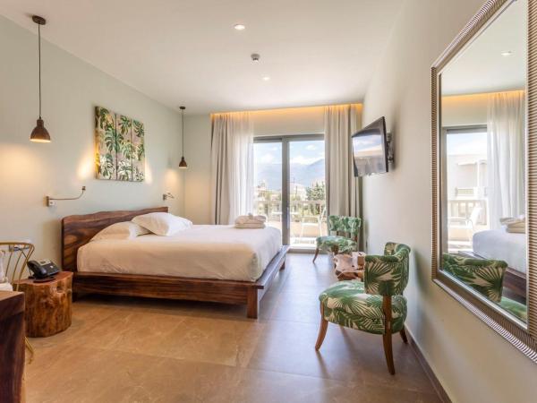 Elysian Luxury Hotel and Spa : photo 1 de la chambre chambre double ou lits jumeaux supérieure - vue sur jardin