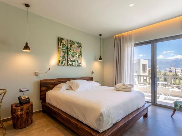 Elysian Luxury Hotel and Spa : photo 2 de la chambre chambre double ou lits jumeaux supérieure - vue sur jardin