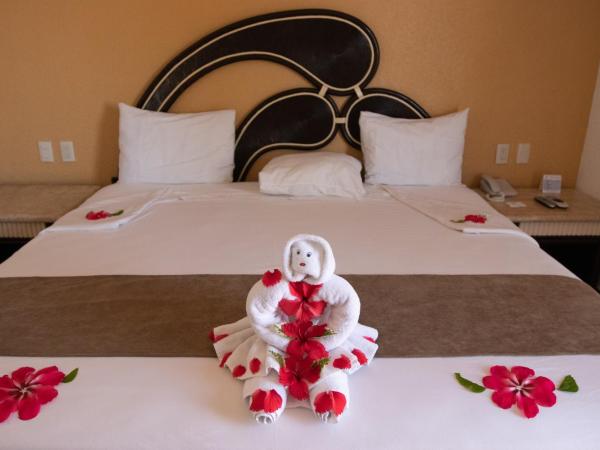 Qualton Club Ixtapa All Inclusive : photo 1 de la chambre chambre double standard - vue sur jardin