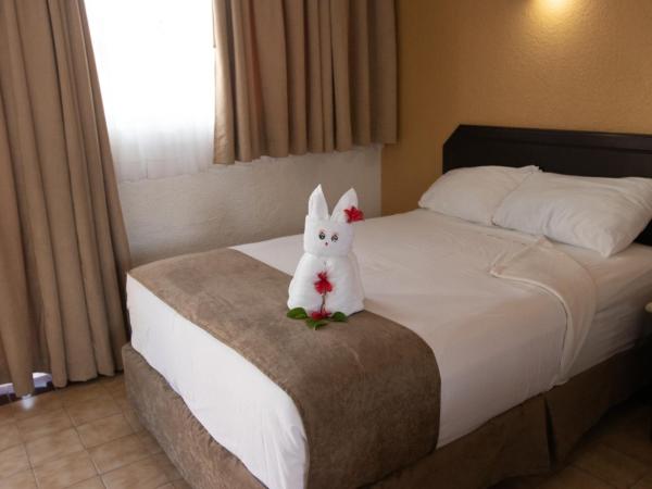 Qualton Club Ixtapa All Inclusive : photo 2 de la chambre chambre double standard - vue sur jardin