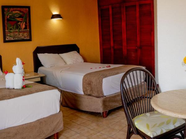 Qualton Club Ixtapa All Inclusive : photo 3 de la chambre chambre double standard - vue sur jardin