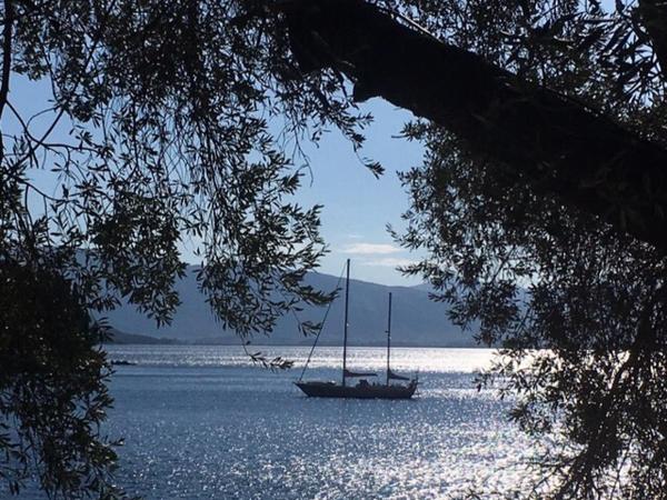 Maria Corfu Loustri : photo 7 de la chambre appartement 2 chambres