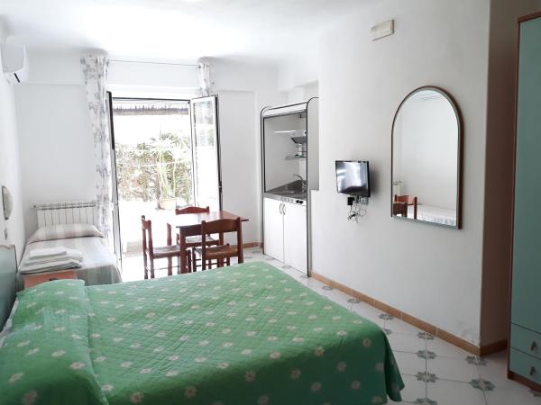 Paco Residence Benessere & Relax : photo 4 de la chambre studio