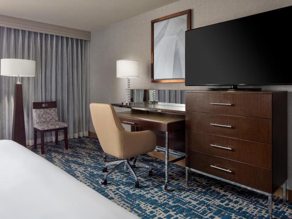 Hyatt Regency DFW International Airport : photo 2 de la chambre chambre lit king-size